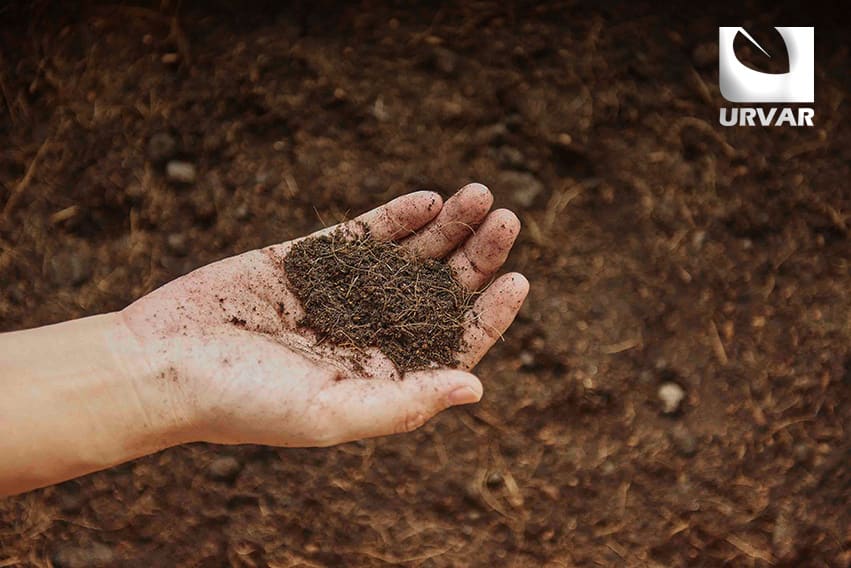 How to Restore Soil Health: A Farmer's Guide